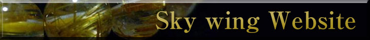 Sky Wing Website