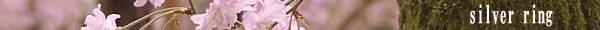 桜のシルバーリング